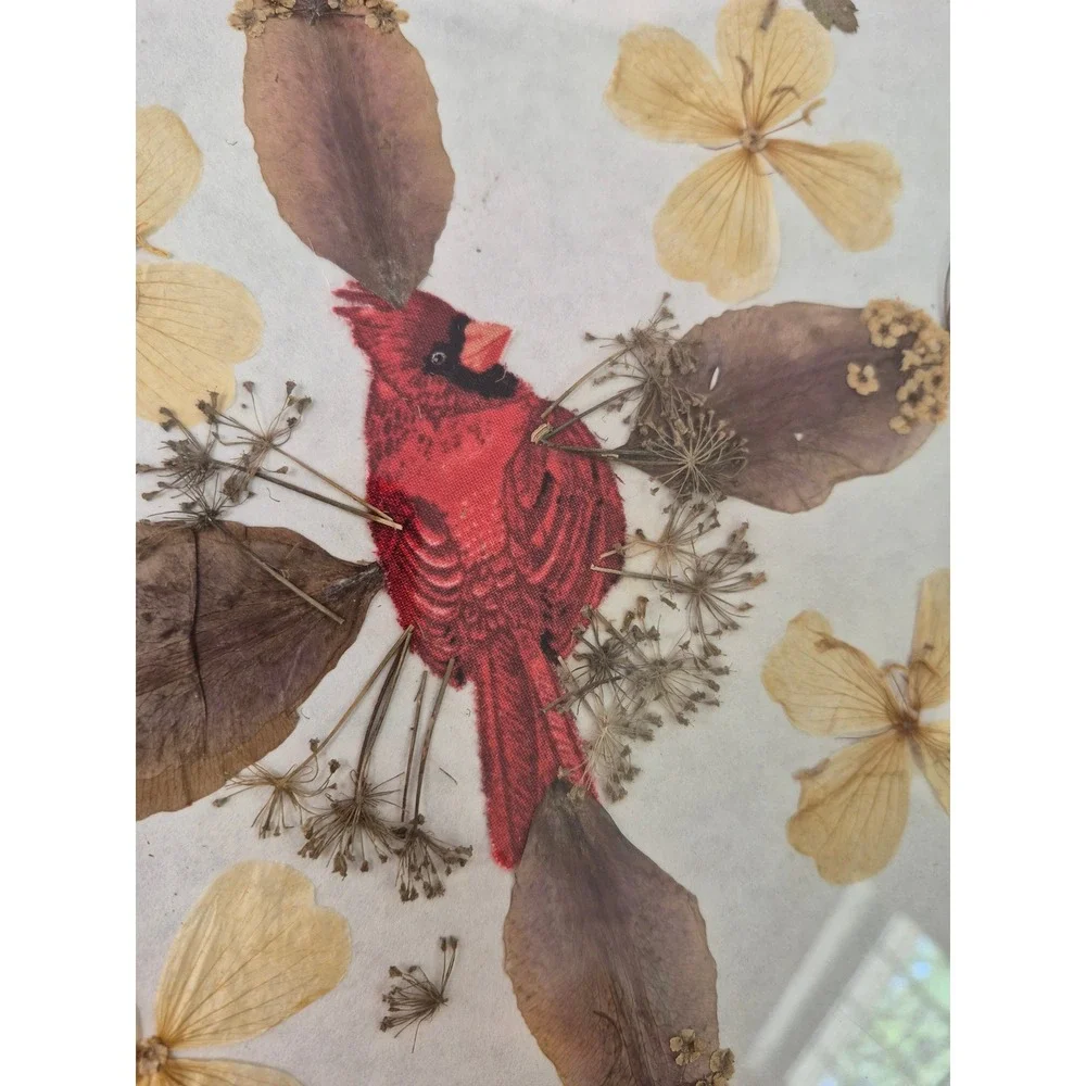 Pressed Flower Botanical Art Framed Red Cardinal Bird Wall Decor 12.5x12.5